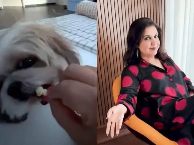 Farah Khan Amusingly Shares How Her ‘Princess’ Smoochy Gets Worn Out