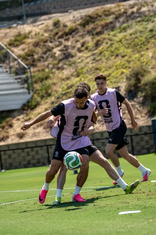 FIFA World Cup 2026: Iran vs New Zealand Group G opener — date, time, venue, squads