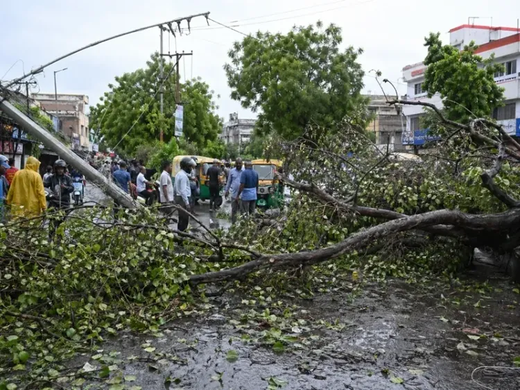 Bihar storm kills 5, batters 20 districts; IMD issues fresh alerts