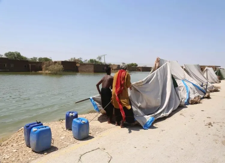 How Are Floods Impacting 4.2 Million in Pakistan's Punjab Province?