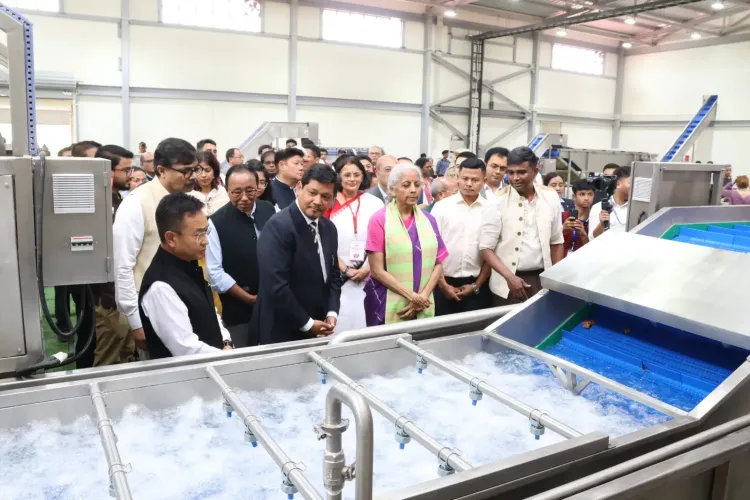 Sitharaman inaugurates northeast's largest organic spice unit in Meghalaya