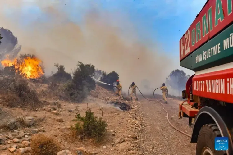 What Caused the Recent Forest Fire in Turkey?