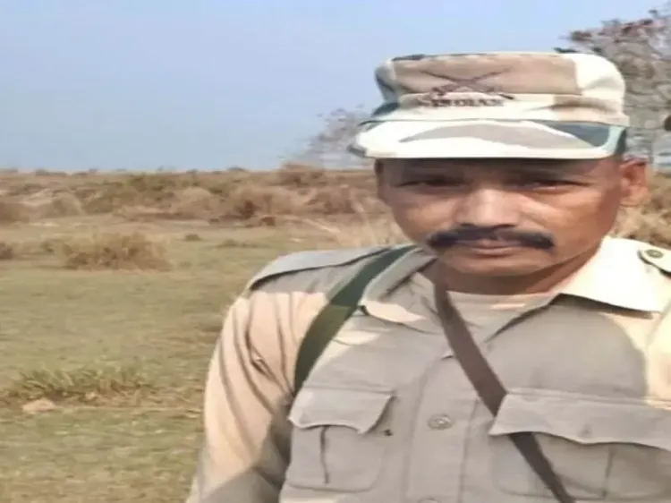 How Did a Rhino Attack Lead to a Tragic Incident in Kaziranga National Park?