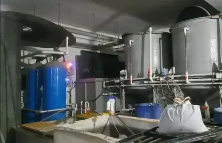 Four workers die inhaling toxic gas in Surat jewellery unit tank