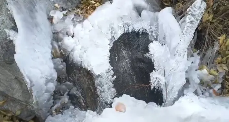 क्या गंगोत्री नेशनल पार्क में कड़ाके की ठंड ने पानी को बर्फ में बदल दिया?