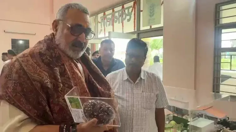 Giriraj Singh explores paddy-straw biodegradable pots for farming