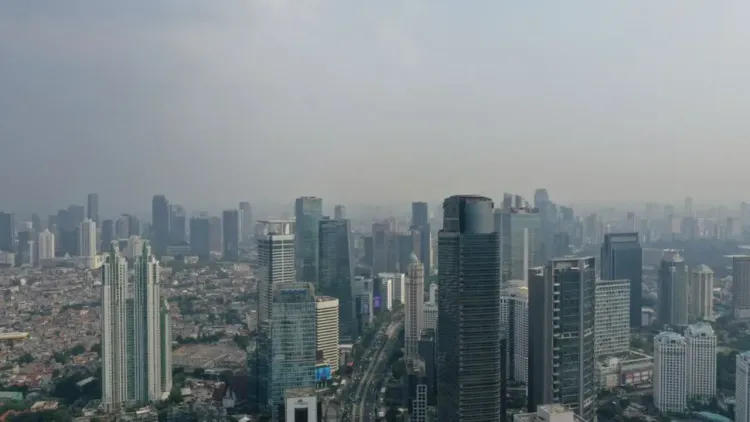 International Research Reveals 1.5 Million Annual Deaths Tied to Air Pollution from Wildfires