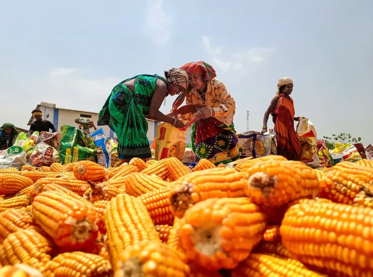 Fertiliser prices: Centre absorbs full cost burden to protect farmers, says Goyal