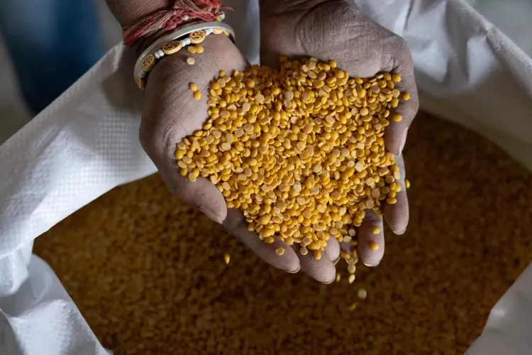 GI-tagged Gulbarga Tur Dal exported to Maldives, Karnataka farmers earn 30% more