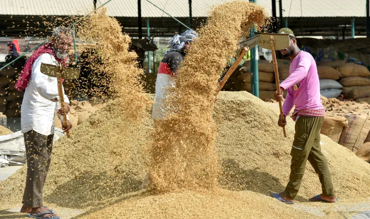 India's first Basmati organic training farm gets 70-year lease in Pilibhit, UP