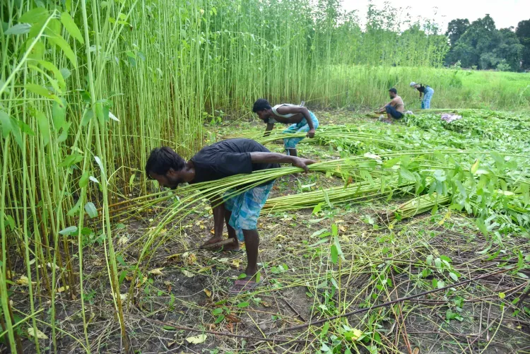 Plant-based fibre push: Govt schemes to lift rural income, eye 23 mn MT by 2030