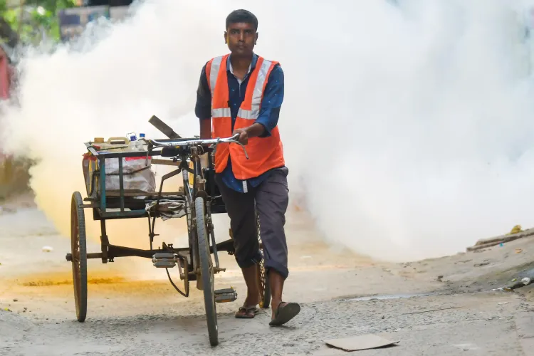 What Preventive Measures Is the Government Urging Against Dengue and Malaria?