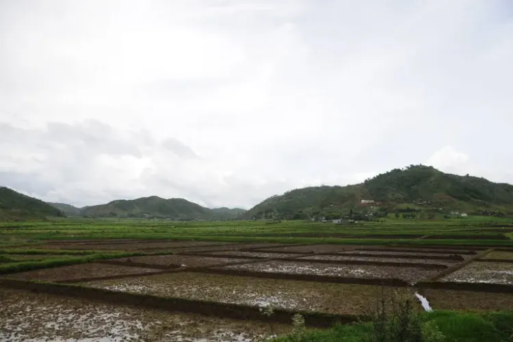Government Allocates Rs 122 Crore to More Than 1,700 Agricultural Startups: Minister