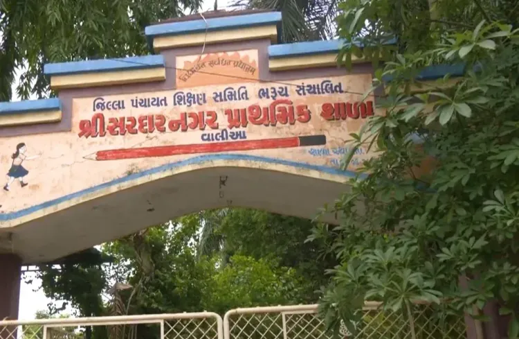 भरूच का श्री सरदार नगर प्राथमिक स्कूल बना 'ग्रीन लैबोरेटरी', 1,000 से अधिक पेड़ों से मिल रही पर्यावरण शिक्षा