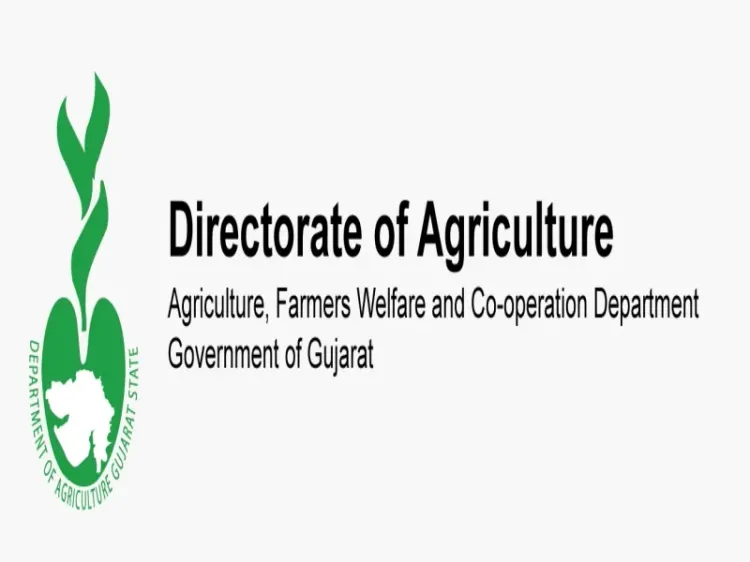 Guj: How Are Statewide Helplines Tackling Farmers’ Fertiliser Issues?