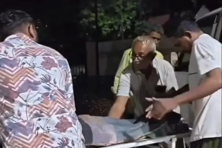 Bhavnagar leopard attack: 9-year-old boy mauled to death in Gujarat's Mahuva