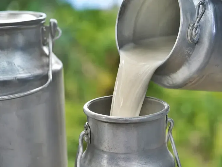 Gujarat milk output up 12.5 million tonnes in 20 years, now 4th largest producer