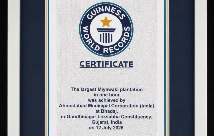 Ahmedabad sets Guinness World Record with 3.61 lakh-tree Miyawaki plantation in one hour