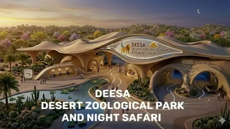 Gujarat CM Office: Asia's First Desert Night Safari Coming to Disa