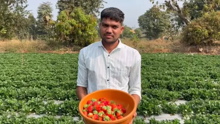 How Are Dang Farmers Transitioning from Traditional to Modern Farming?