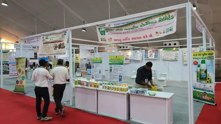 Kesar Mango Festival 2026: Gujarat farmers sell direct at Vastrapur Haat from May 16