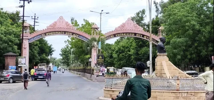 क्या गुजरात के कच्छ जिले का घेडी गांव जीरा खेती में एक मिसाल बन गया है?