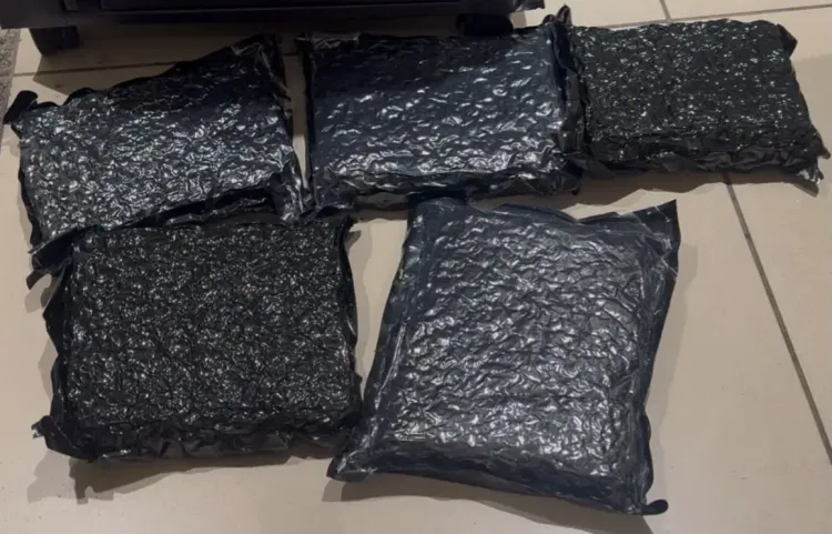 Ahmedabad Airport: ₹5 crore hydroponic marijuana seized, Rajasthan man arrested