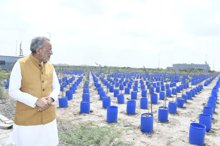 Dholera SIR: Gujarat minister reviews semiconductor plant, green belt drive