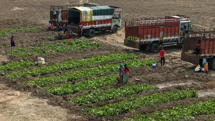 Gujarat's Van Kavach model to cover 1,100 hectares in 2026-27, 600 in Gandhinagar