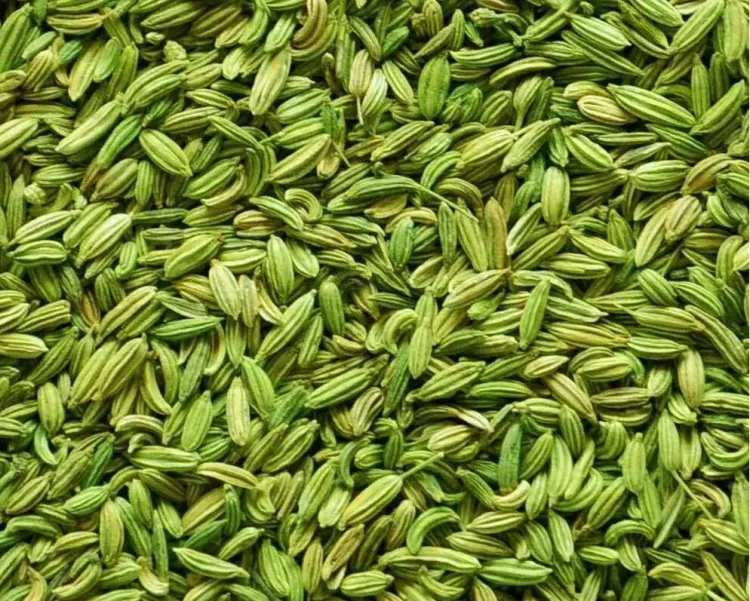 Rajasthan farmers seek revocation of Gujarat's Unjha Cumin, Fennel GI tags