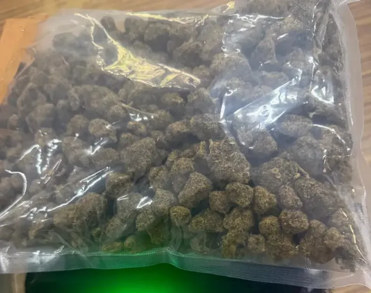 Ahmedabad Customs seizes 467.5g suspected ganja from Thailand parcel