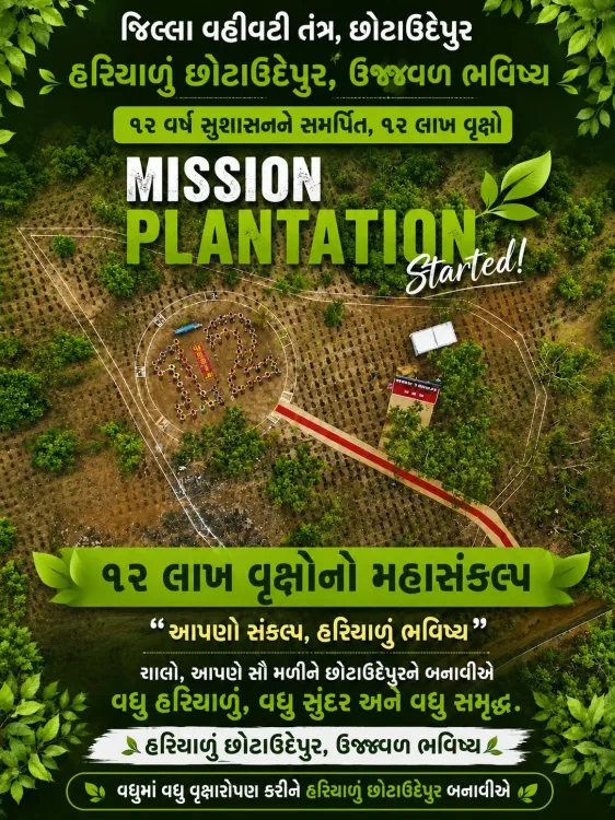 Gujarat's Chhota Udepur Plants 12 Lakh Trees Under Mission Plantation