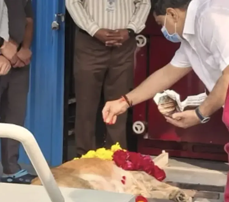 Is Gujarat’s First CNG-Powered Dog Crematorium Now Open in Ahmedabad?