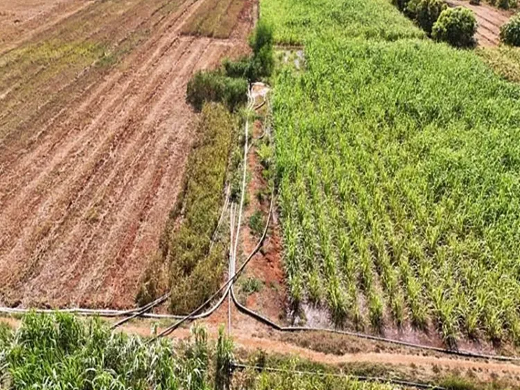 How is Gujarat's Lift Pipeline Technology Enhancing Irrigation?