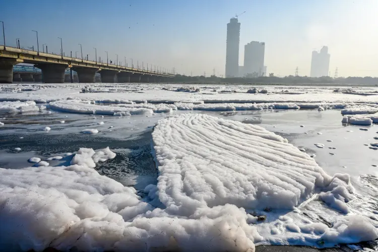 Haryana launches Yamuna pollution action plan to clean drains before Delhi entry
