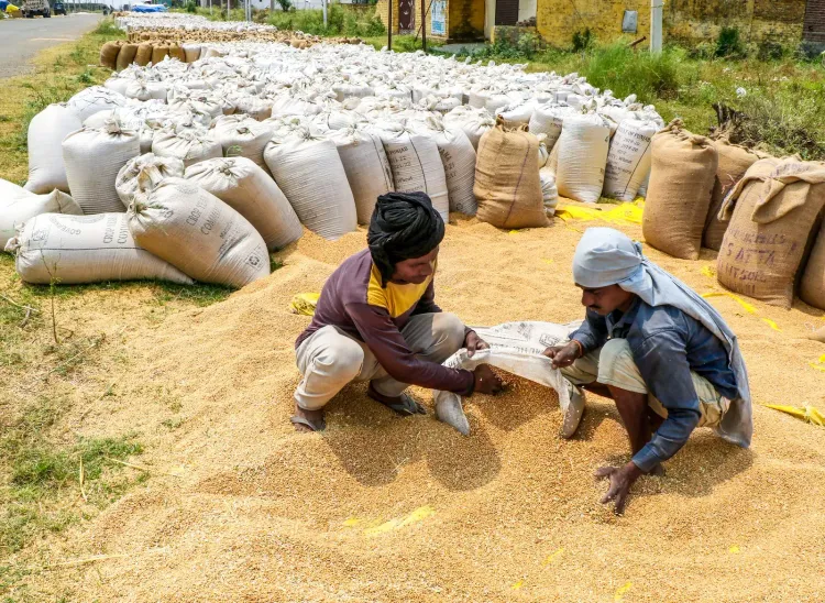 Haryana to add 20 lakh MT grain storage in 2025, double capacity by 2047