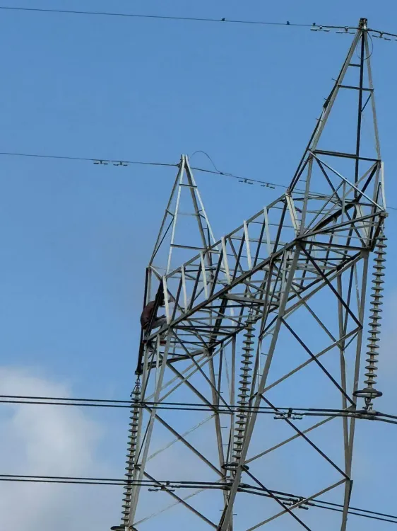 Bengaluru youth climbs high-tension pole after girlfriend refuses marriage