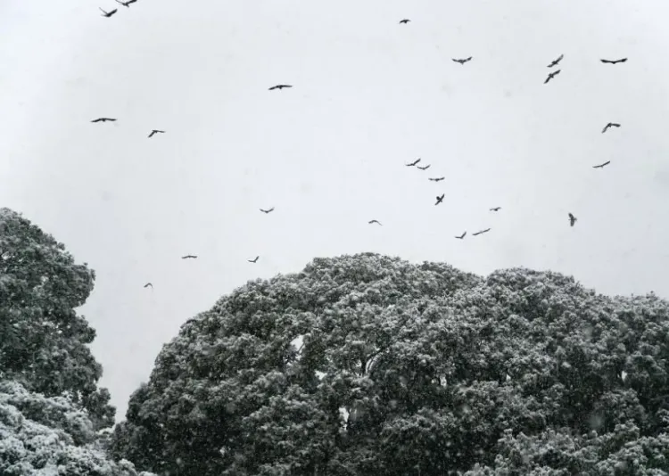 Significant Snowfall Expected Across Japan Until Tuesday