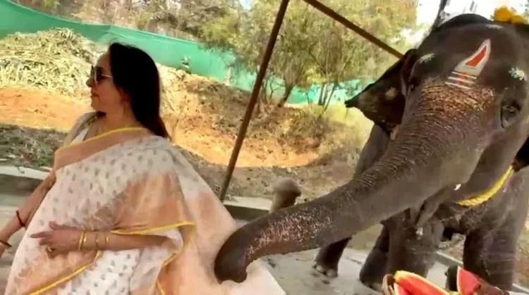 Hema Malini's Charming Moment with Baby Elephant Indrani