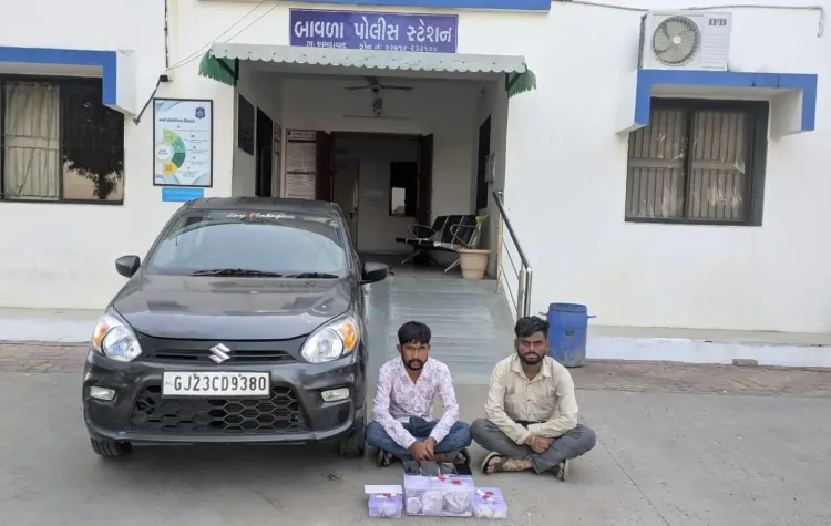 गुजरात: बावला में ₹4.35 करोड़ का 4.354 किलो एम्बरग्रीस जब्त, दो आरोपी हिरासत में
