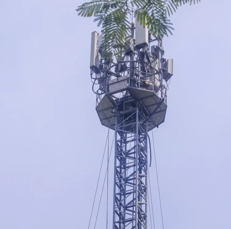 गोपालगंज में युवती ने प्रेमी की रिहाई के लिए किया मोबाइल टावर पर चढ़ाई