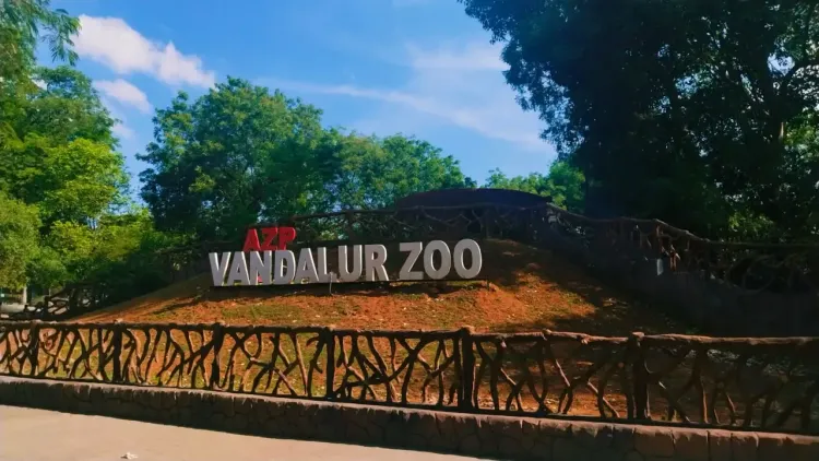 वंडालूर चिड़ियाघर में H5N1 बर्ड फ्लू की पुष्टि, गुरुवार-शुक्रवार दो दिन बंद रहेगा पार्क