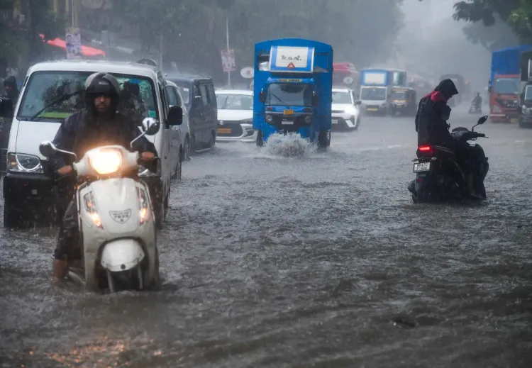 मुंबई में मानसून के बीच BMC की लेप्टोस्पायरोसिस एडवाइजरी, 24-72 घंटे में डॉक्टर से मिलने की अपील