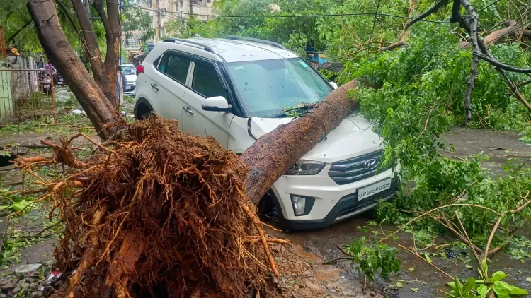चक्रवात 'अर्नब': आंध्र प्रदेश में 7 मौतें, ₹4,600 करोड़ के नुकसान का अनुमान — सीएम नायडू