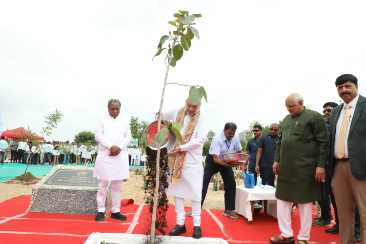 अहमदाबाद में अमित शाह और CM भूपेंद्र पटेल ने '50 लाख पेड़' अभियान में लगाए पौधे, हरित गांधीनगर का संकल्प
