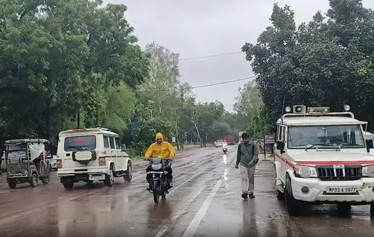 मध्य प्रदेश के 13 जिलों में भारी बारिश का अलर्ट: IMD ने जारी की चेतावनी, 40-50 किमी/घंटा हवाओं का खतरा