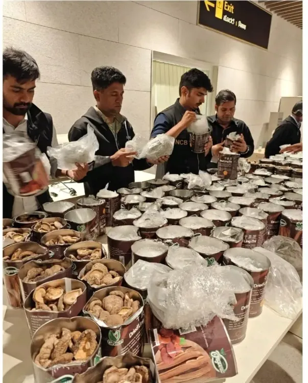 क्या बेंगलुरु एयरपोर्ट पर एनसीबी ने 50 करोड़ रुपए की ड्रग्स जब्त की?