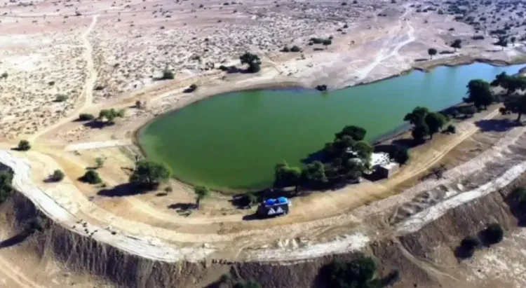 राजस्थान सरकार ने जैसलमेर में 'ओरण' संरक्षण के लिए 3666 हेक्टेयर भूमि आरक्षित की