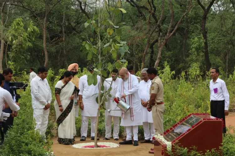 Amit Shah launches Delhi's 70 lakh tree plantation drive at 34 locations