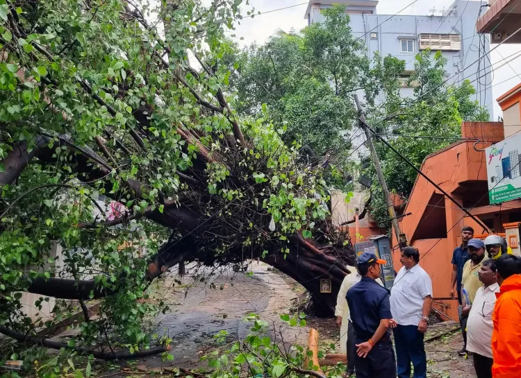 Cyclone Arnab: Shah assures aid to Andhra, Odisha, 5 dead, 17 districts hit